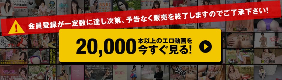 Hey動画月額見放題プラン